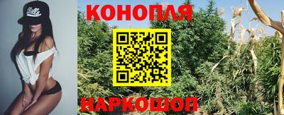 spice Кунгур