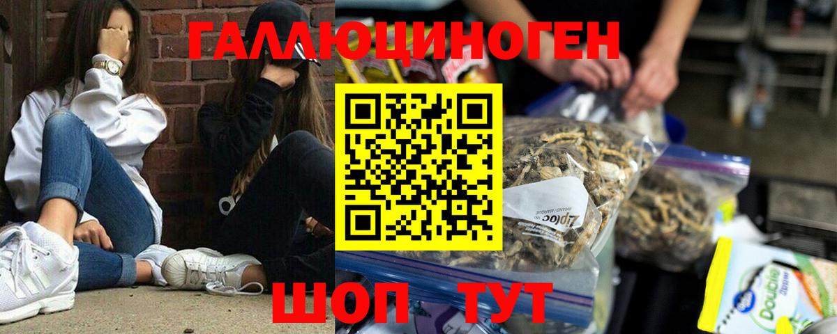 Псилоцибиновые грибы Magic Shrooms Керчь